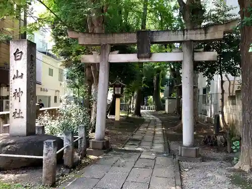 白山神社の鳥居