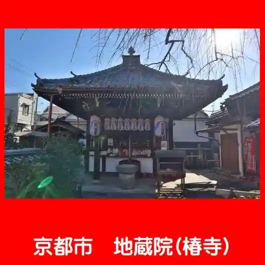 地蔵院(椿寺)(京都府)