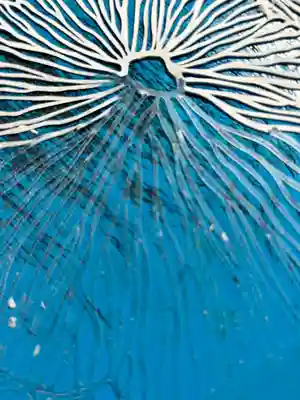 妙泉寺(岐阜県)