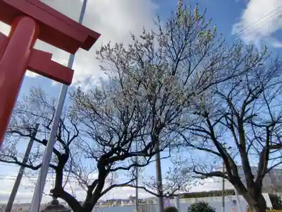 諏訪神社(宮城県)