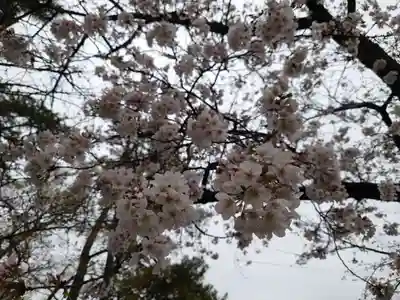 鹿苑神社の自然