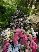 長谷寺(奈良県)