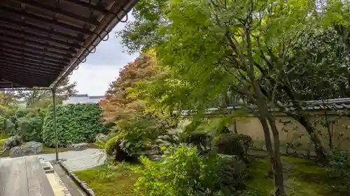 興臨院(京都府)