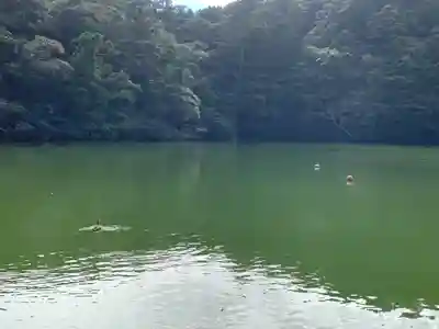 賢沼寺（沼ノ内弁財天）の周辺