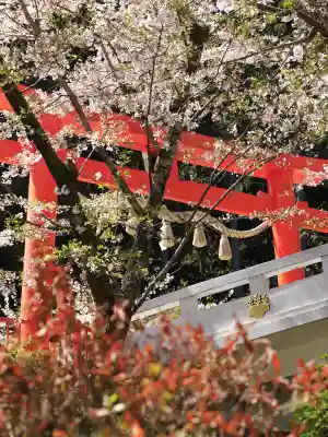金櫻神社の{uncategorized: "未分類", other: "その他", undefined: "問題あり", building: "その他建物", grave: "お墓", sacred_gate: "鳥居", guardian: "狛犬", statue: "像", buddha: "仏像", history: "歴史", nature: "自然", garden: "庭園", animal: "動物", pagoda: "塔", temizu: "手水舎", mountain_gate: "山門・神門", sanctuary: "本殿・本堂", subordinate: "末社・摂社", art: "芸術", scenery: "景色", jizo: "地蔵", ema: "絵馬", goshuin: "御朱印", omikuji: "おみくじ", items: "授与品その他", amulet: "お守り", goshuincho: "御朱印帳", eats: "食事", festival: "お祭り", votive_dance: "神楽", shichigosan: "七五三参", wedding: "結婚式", experience: "体験その他", initially: "初詣", around: "周辺", anti_infection: "感染症対策"}