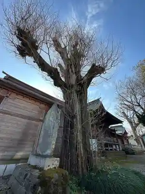 多賀神社(東京都)