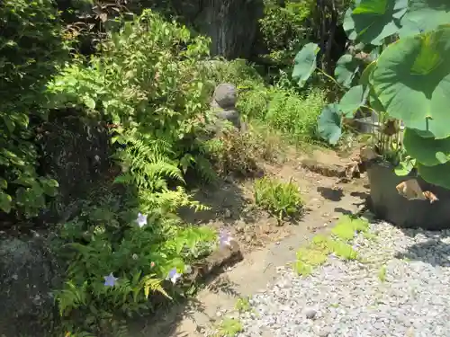 宝林院(埼玉県)