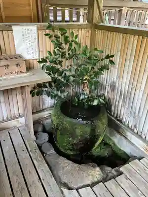 雄琴神社(栃木県)