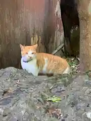 唐澤山神社の動物