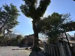 若宮八幡宮（陶器神社）(京都府)