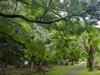 金剛院(京都府)