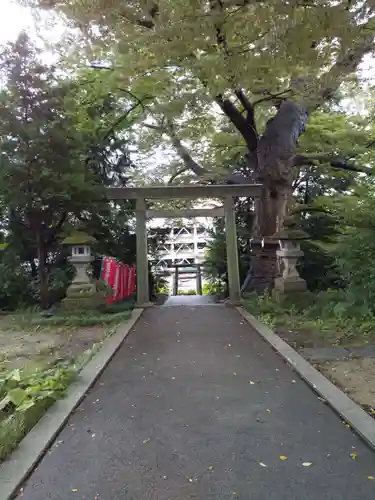 愛宕神社の鳥居