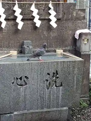 日比谷神社の手水舎