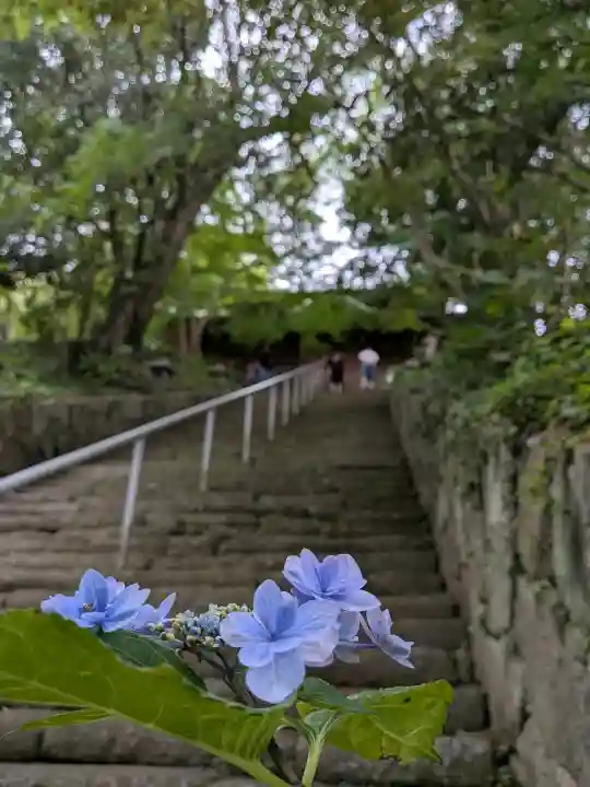 法然寺(香川県)