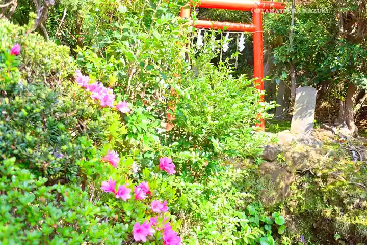 横浜御嶽神社(神奈川県)