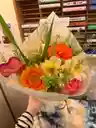 のこのこさんのプロフィール画像