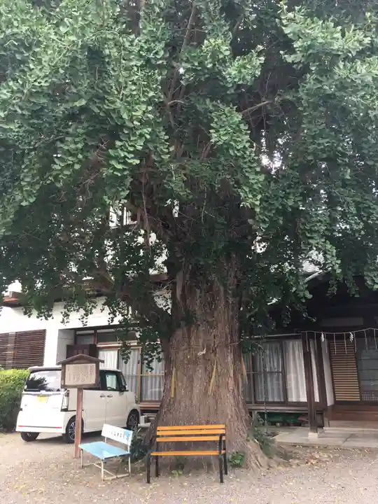 和田神社の自然