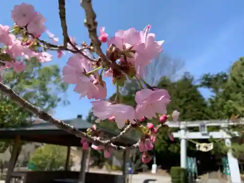 滑川神社 - 仕事と子どもの守り神の景色