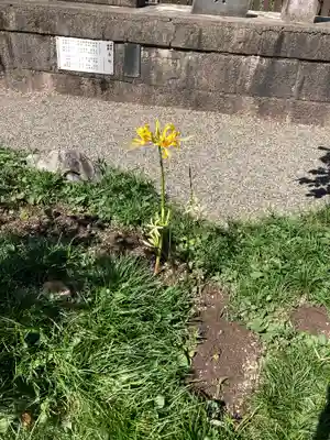 沙沙貴神社(滋賀県)