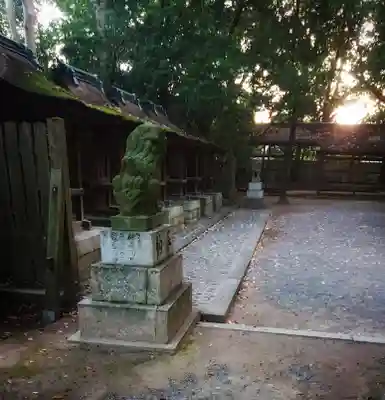 尾張大國霊神社(国府宮)の狛犬
