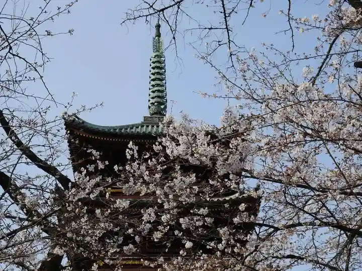上野東照宮の塔