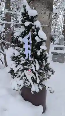 八幡愛宕神社（旭川神社）の初詣