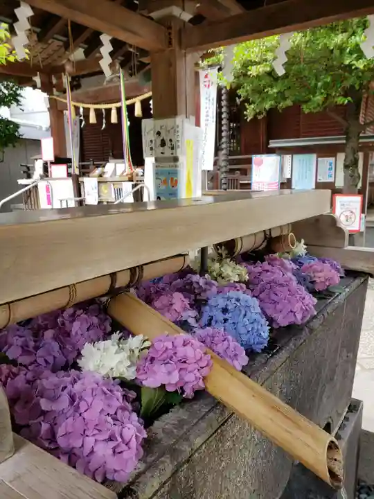 鳩森八幡神社の手水舎