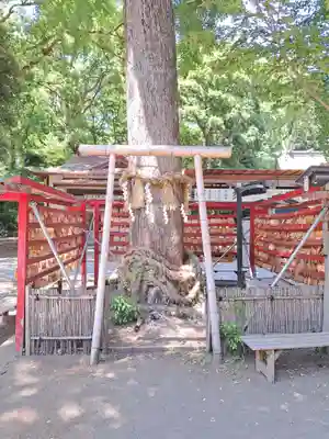 平塚八幡宮(神奈川県)