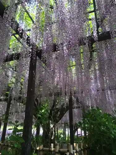 玉敷神社の庭園