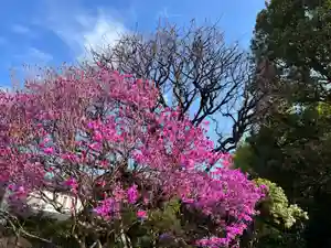 天台宗 長窪山 正覚寺の自然 2022年04月01日(金)〜(2022年03月28日(月) 23時28分14秒投稿)