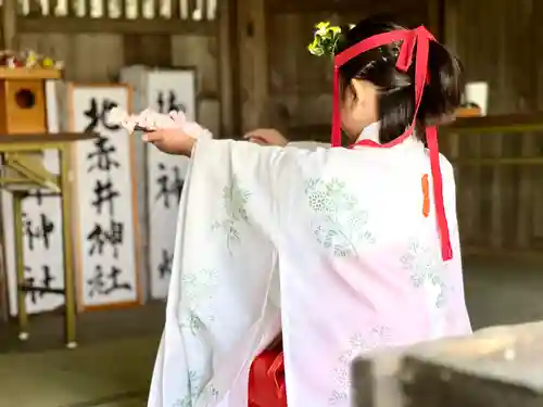 北赤井神社の神楽