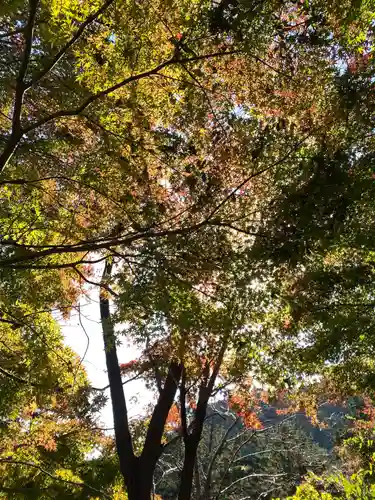 金毘羅社(東京都)