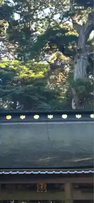 鹿島神宮(茨城県)