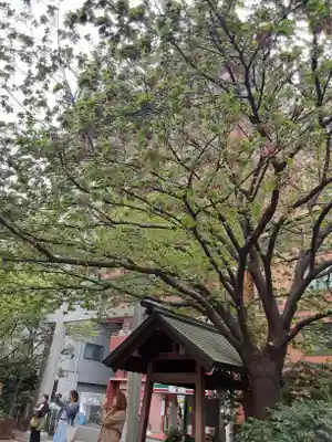 蔵前神社(東京都)