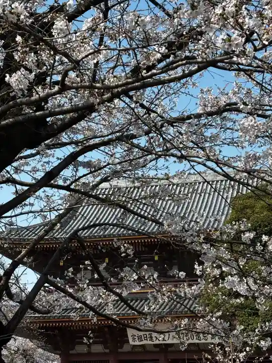 池上本門寺の{uncategorized: "未分類", other: "その他", undefined: "問題あり", building: "その他建物", grave: "お墓", sacred_gate: "鳥居", guardian: "狛犬", statue: "像", buddha: "仏像", history: "歴史", nature: "自然", garden: "庭園", animal: "動物", pagoda: "塔", temizu: "手水舎", mountain_gate: "山門・神門", sanctuary: "本殿・本堂", subordinate: "末社・摂社", art: "芸術", scenery: "景色", jizo: "地蔵", ema: "絵馬", goshuin: "御朱印", omikuji: "おみくじ", items: "授与品その他", amulet: "お守り", goshuincho: "御朱印帳", eats: "食事", festival: "お祭り", votive_dance: "神楽", shichigosan: "七五三参", wedding: "結婚式", experience: "体験その他", initially: "初詣", around: "周辺", anti_infection: "感染症対策"}