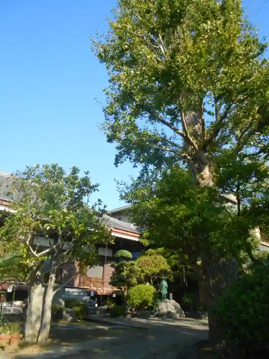 成福寺の本殿・本堂