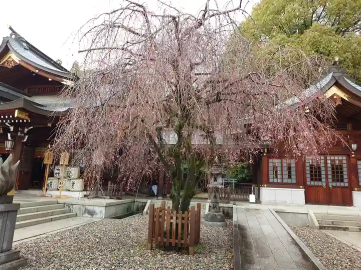 速谷神社(広島県)