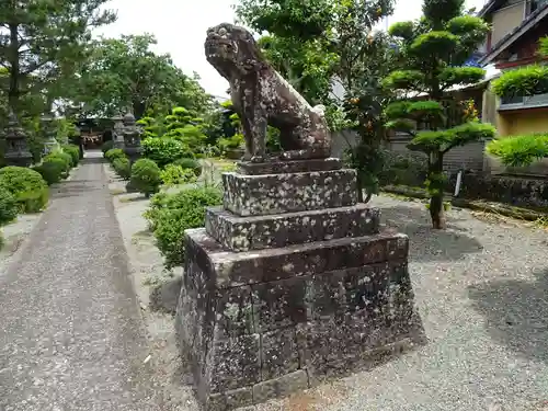 筑後乃国阿蘇神社の狛犬