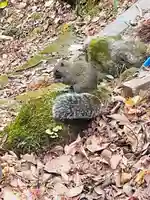 佐助稲荷神社の動物