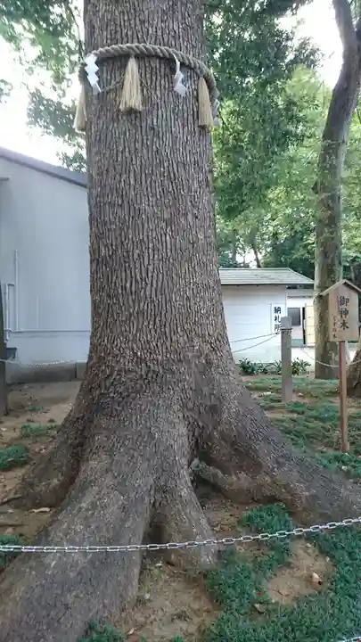 金ヶ作熊野神社の自然