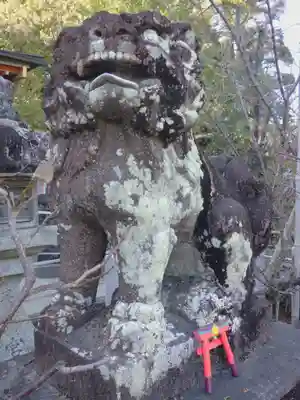 長岡天満宮の狛犬