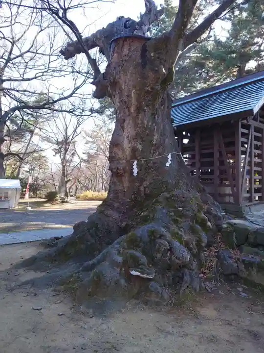 川中島古戦場八幡社(長野県)