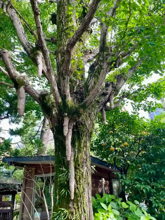 大吉稲荷(東京都)