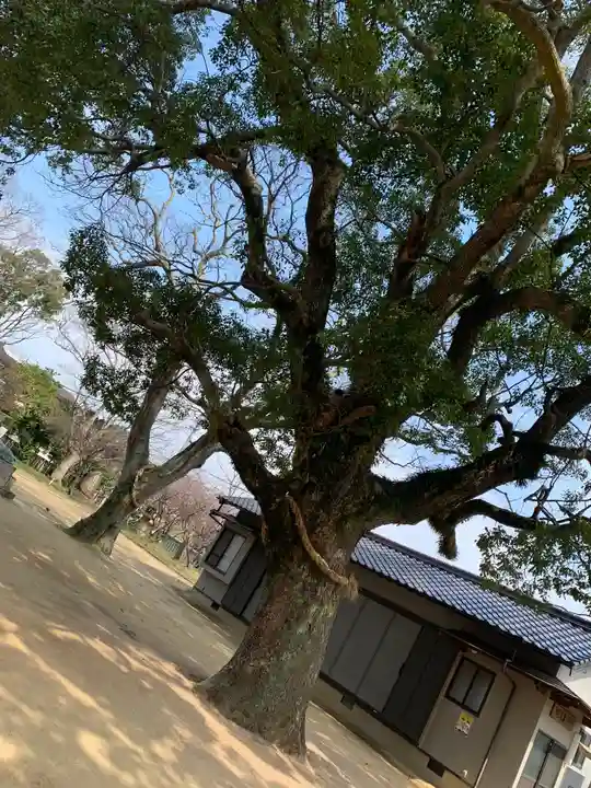 梶返天満宮の自然