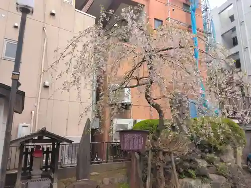 成田山不動大教会(東京都)