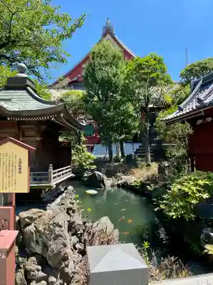 浅草寺(東京都)