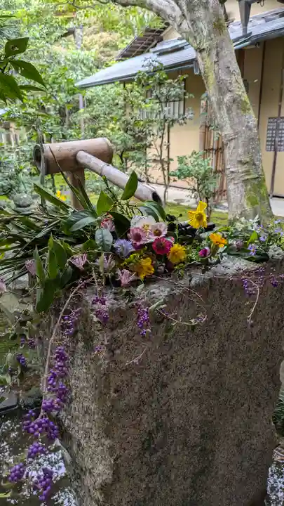 興臨院(京都府)