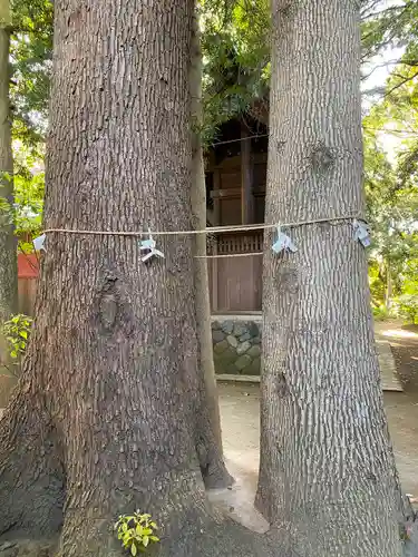 鶴嶺八幡宮の自然