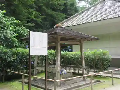 明月院(神奈川県)