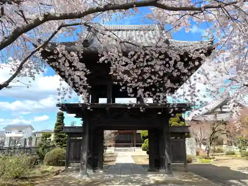 華蔵寺の山門